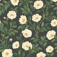 Cole & Son Great Masters Hampton Roses 118/7016
