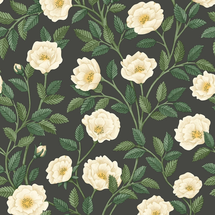Cole & Son Great Masters Hampton Roses 118/7016