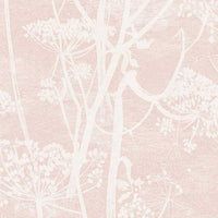 Cole & Son Icons Cow Parsley 112/8028
