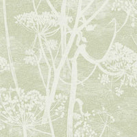 Cole & Son Icons Cow Parsley 112/8029