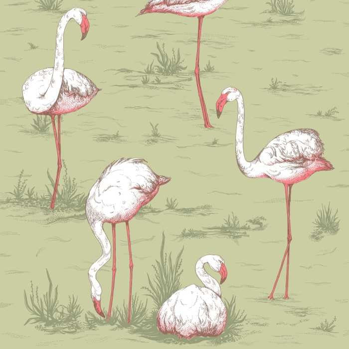 Cole & Son Icons Flamingos 112/11038 Behang