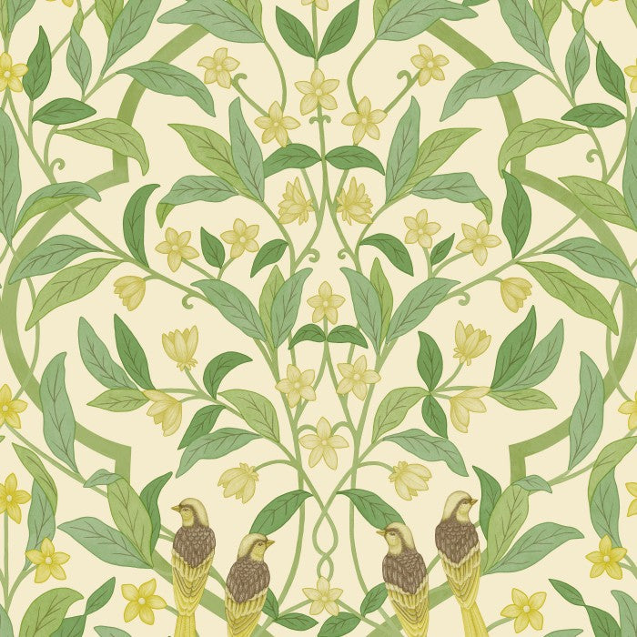 Cole & Son Seville Jasmine & Serin Symphony 117/10031