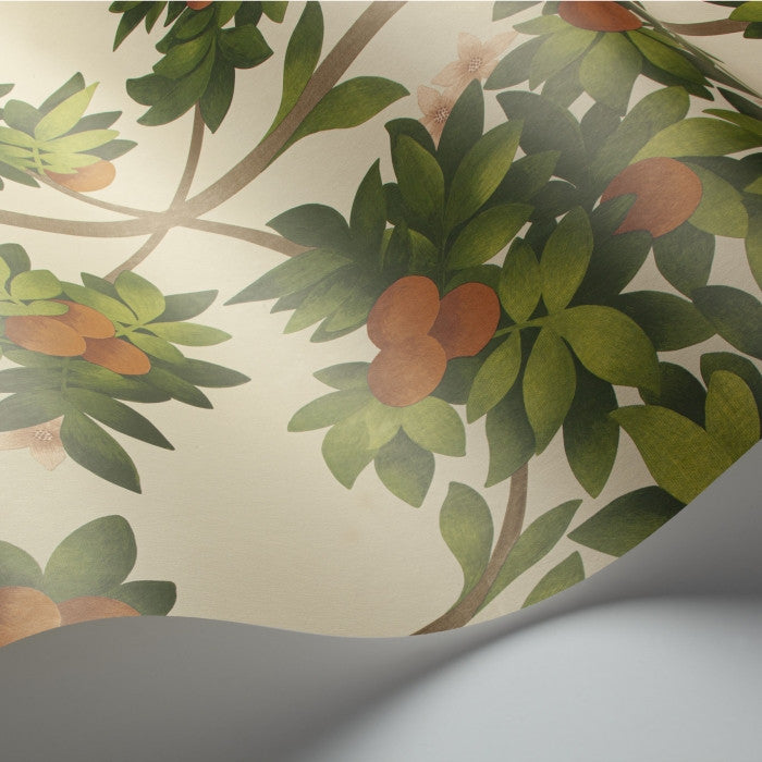 Cole & Son Seville Orange Blossom 117/1001