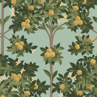 Cole & Son Seville Orange Blossom 117/1002