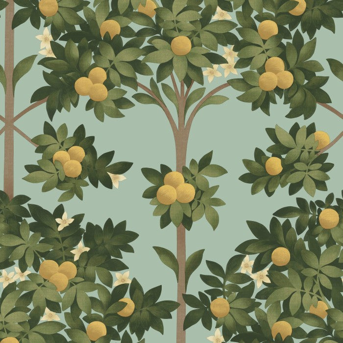 Cole & Son Seville Orange Blossom 117/1002
