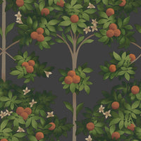 Cole & Son Seville Orange Blossom 117/1003