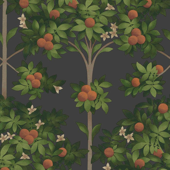 Cole & Son Seville Orange Blossom 117/1003