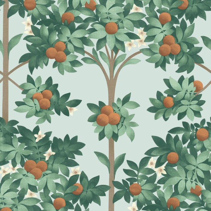 Cole & Son Seville Orange Blossom 117/1004