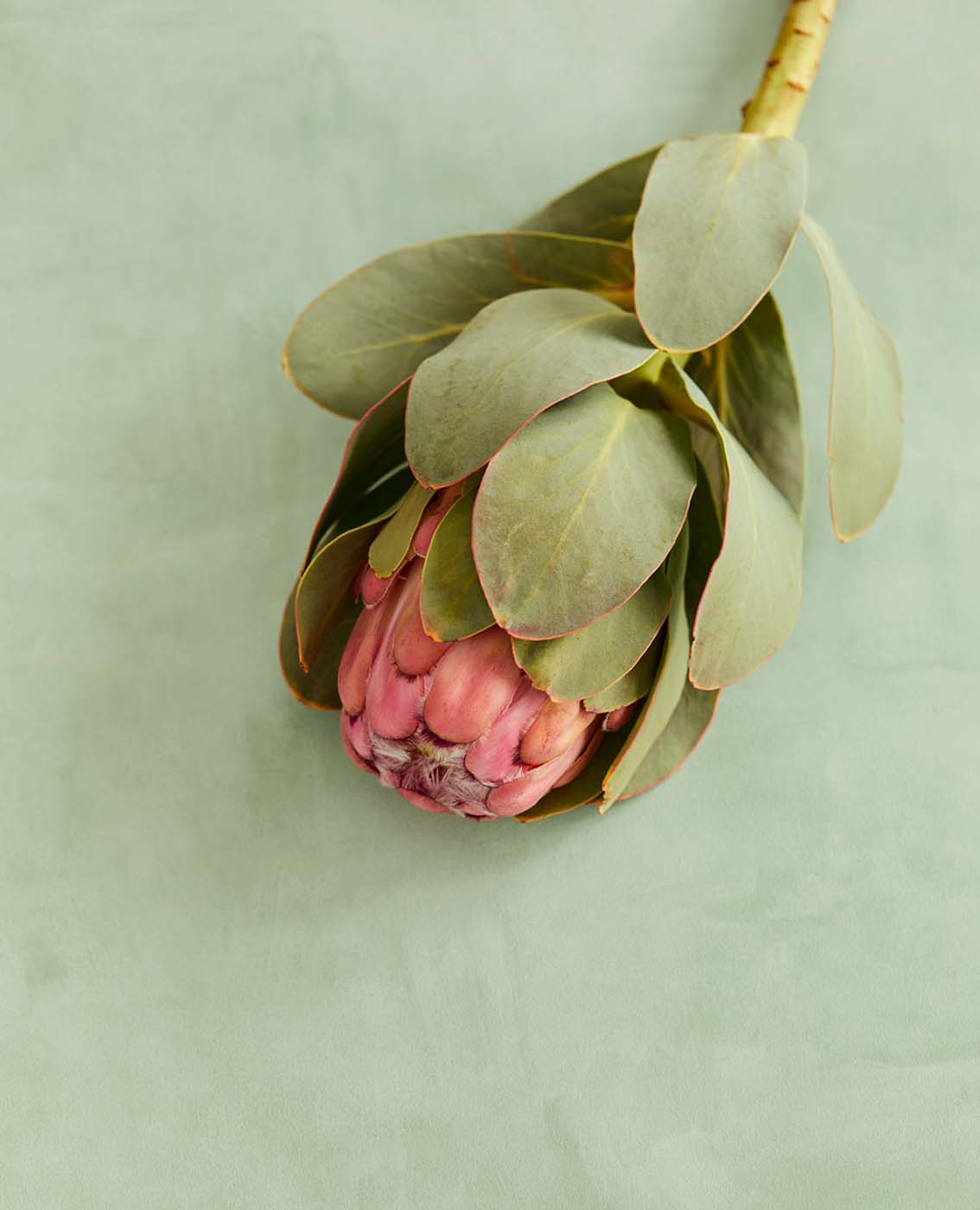 Eijffinger Unify 333221 Behang