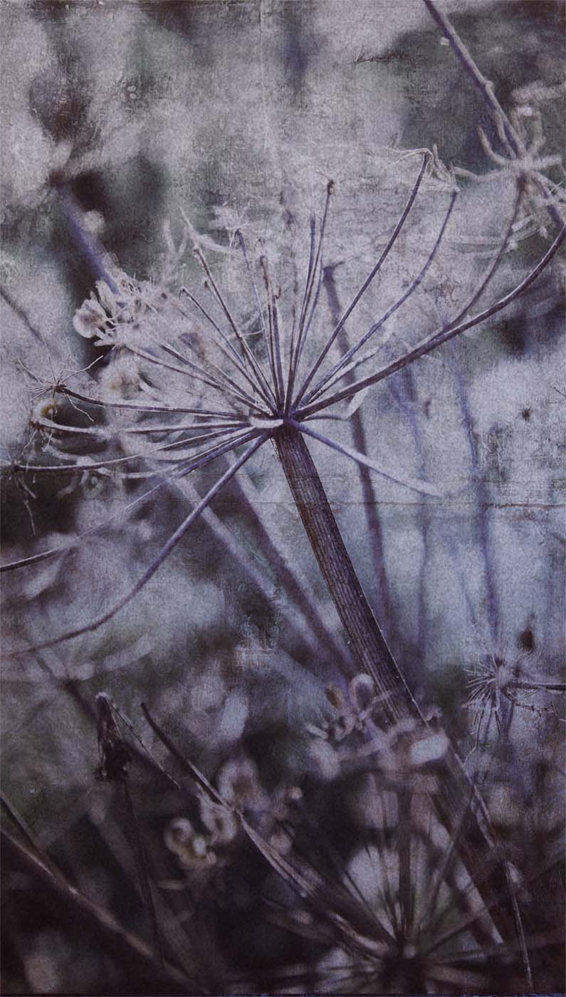 Eijffinger Wallpower Favourites 309026 Behang