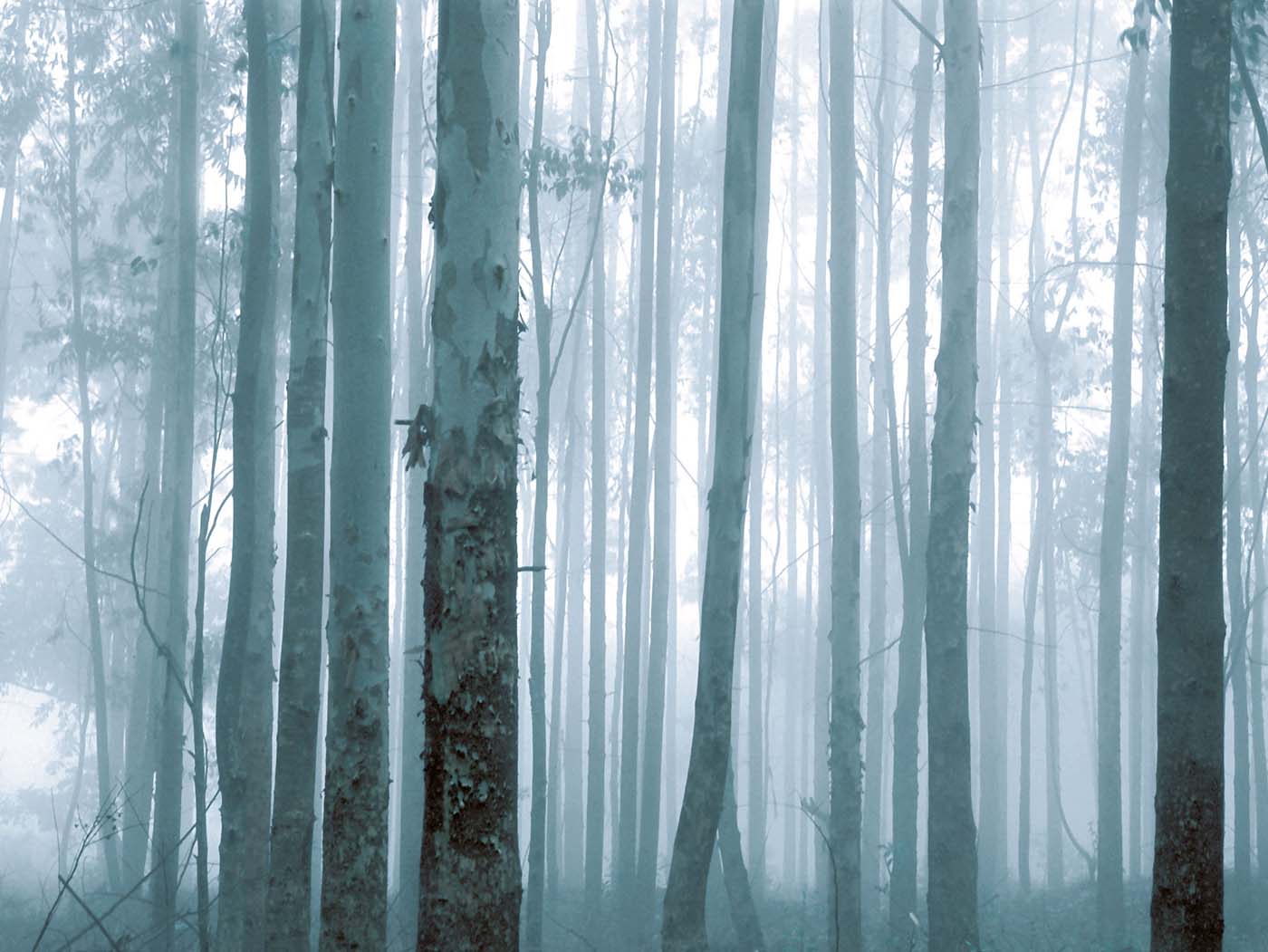 Eijffinger Wallpower Favourites 309144 Behang