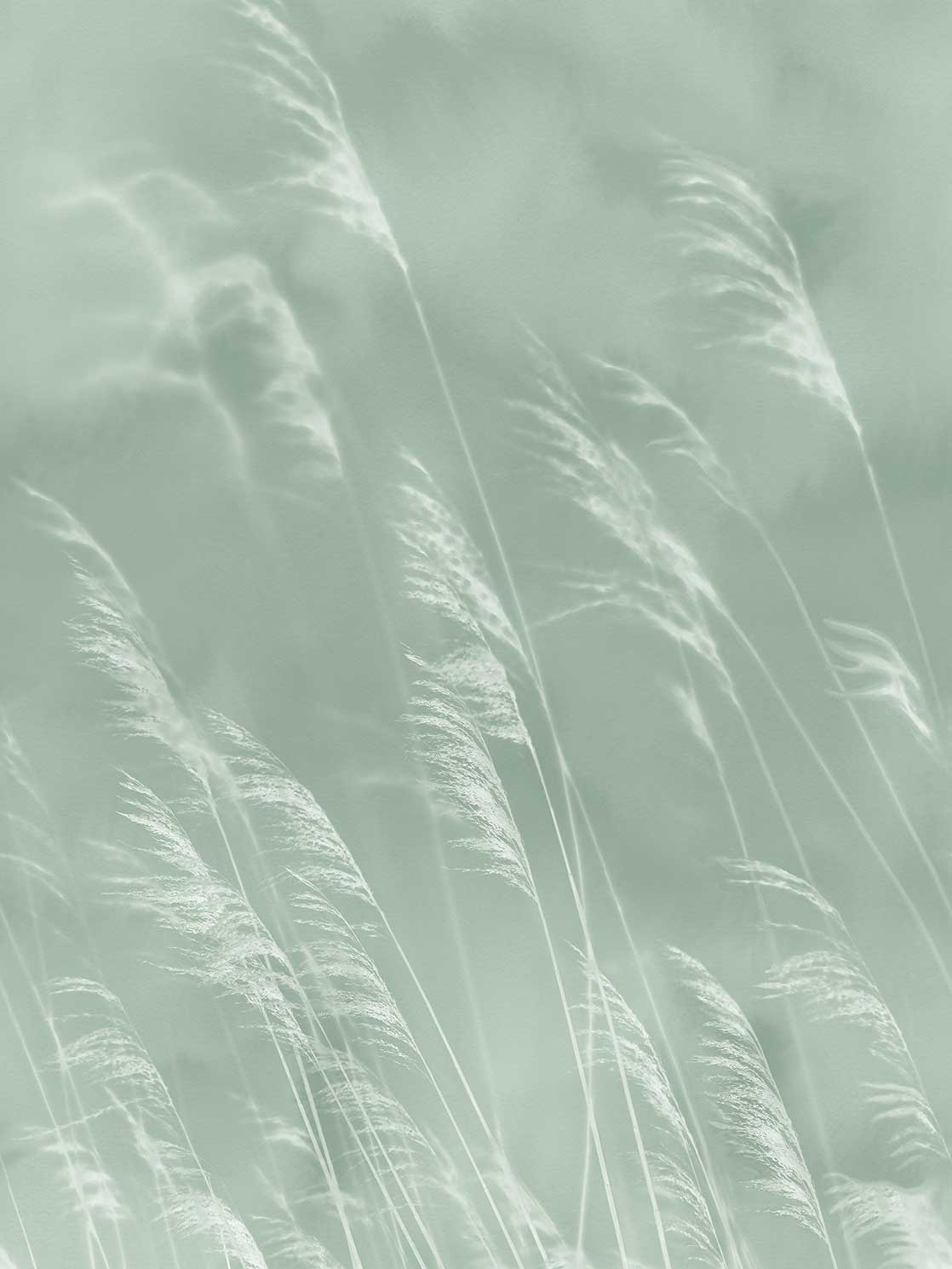 Eijffinger Waterfront 300901 Behang