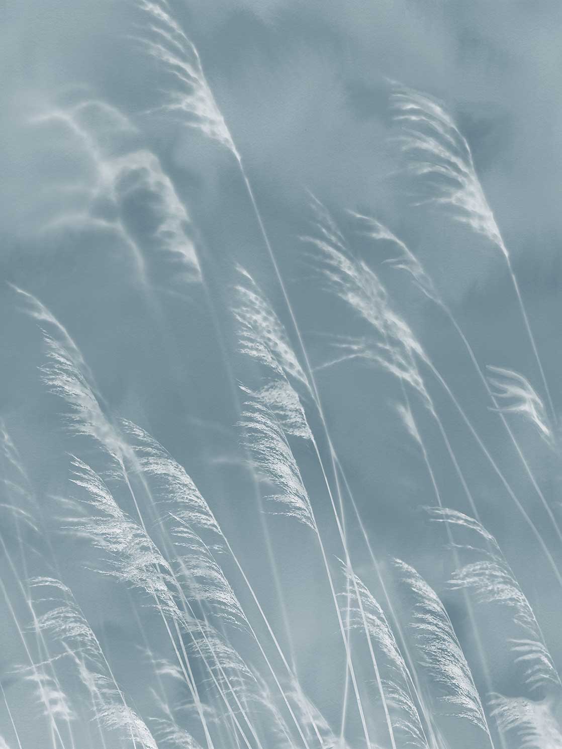 Eijffinger Waterfront 300902 Behang