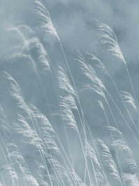 Eijffinger Waterfront 300902