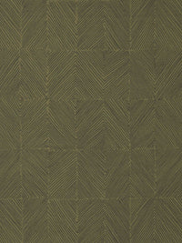 Hooked on Walls Arcade Geoline 23750