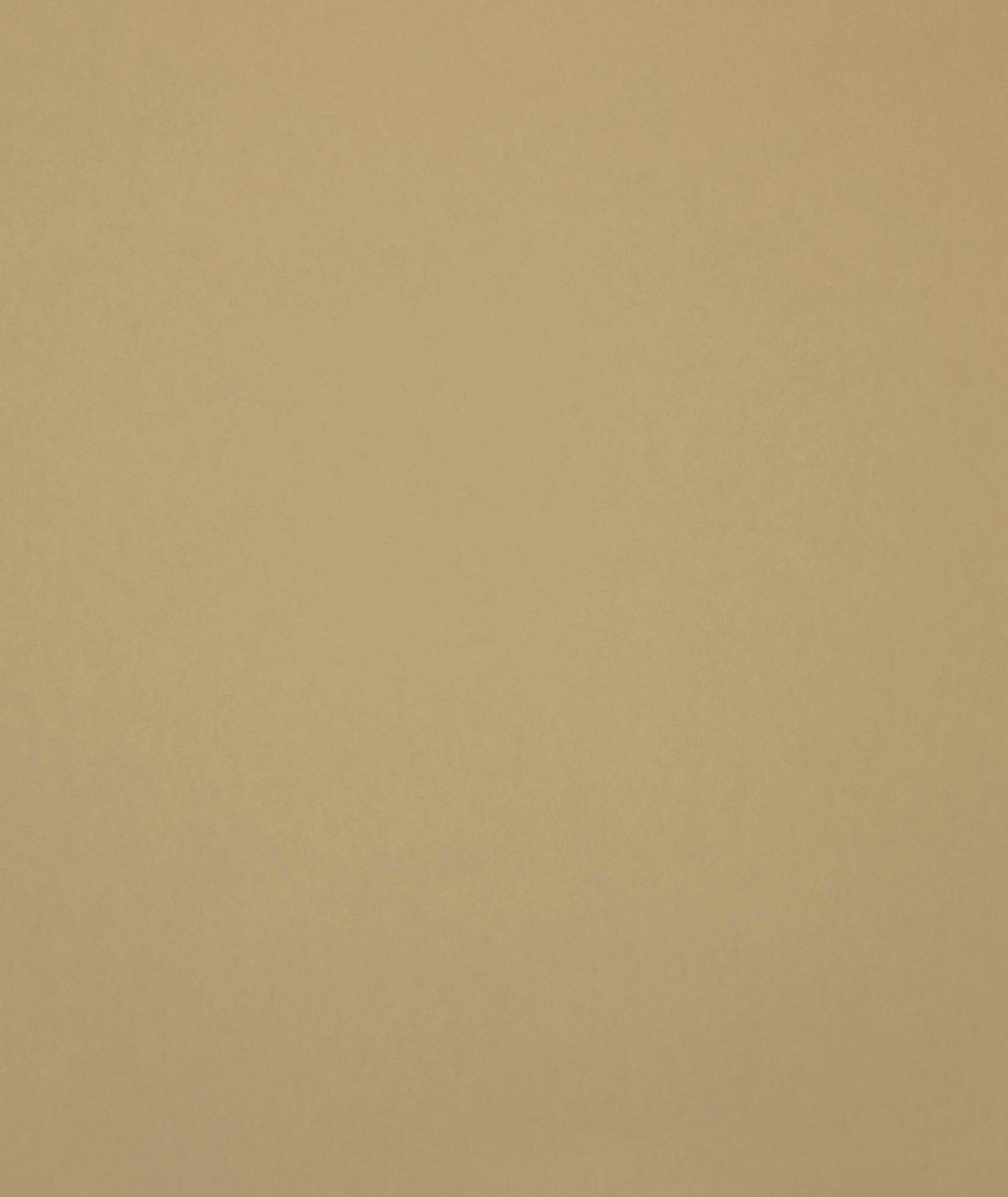 Hooked on Walls Arcade Muro 23761