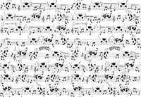 Hooked on Walls Enriquezland Musicisti 25512