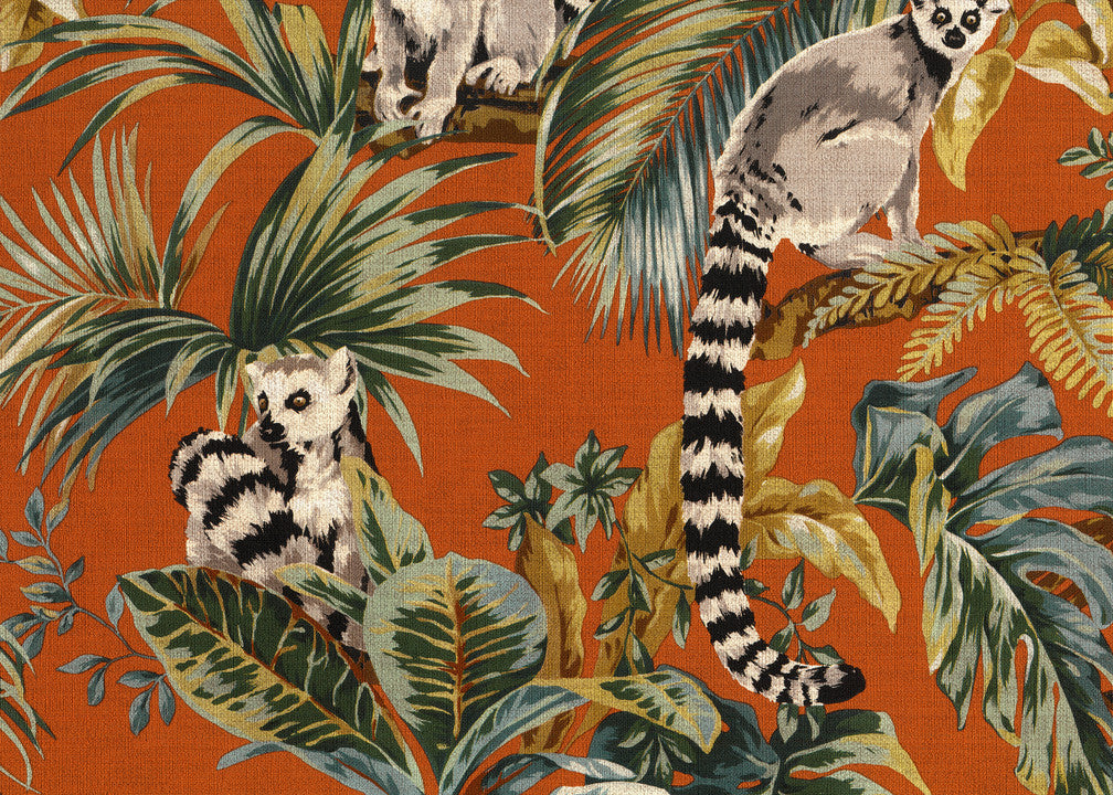 Hooked on Walls Lemuria Lemuri 60603