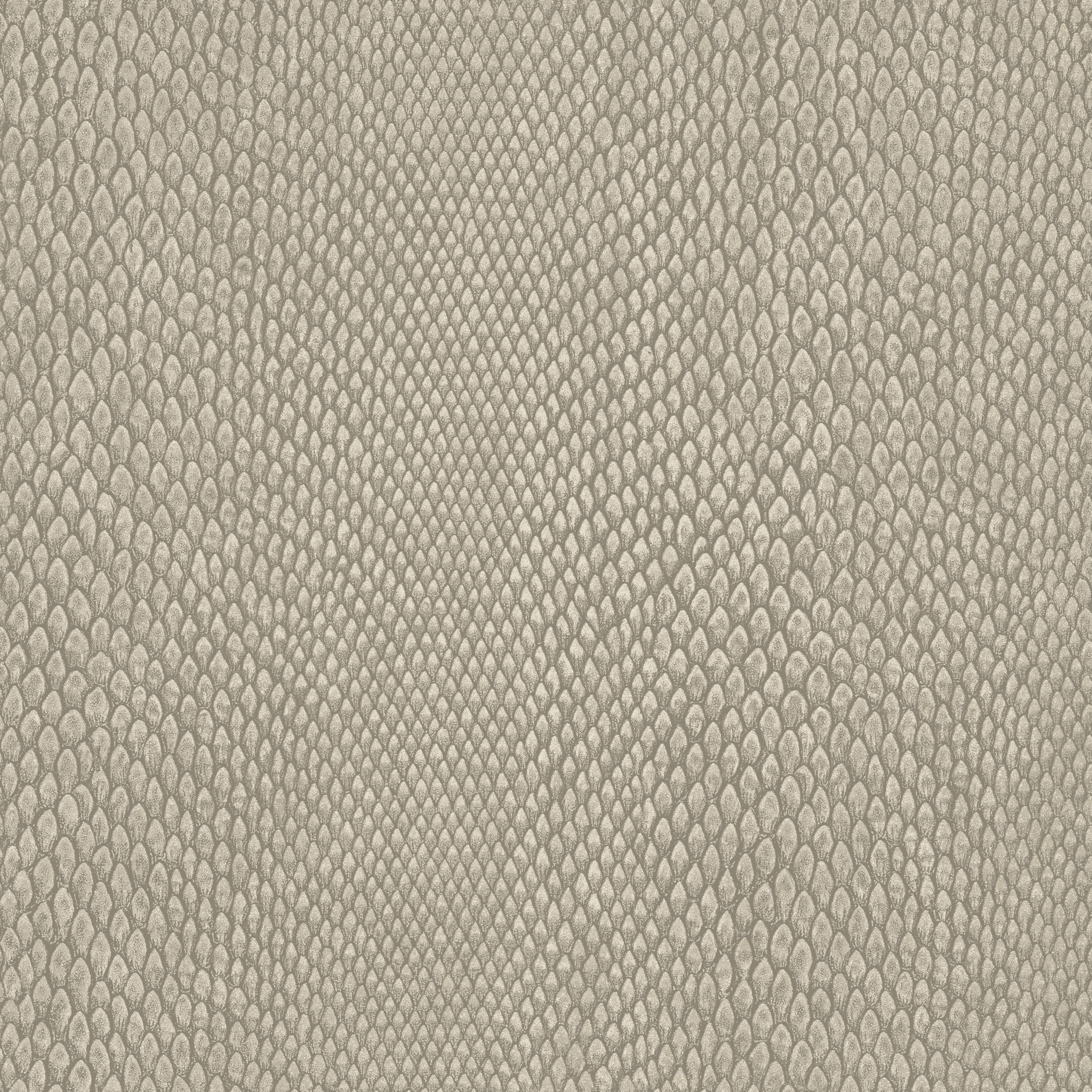 Hooked on Walls Leopard Walk Naja 15332