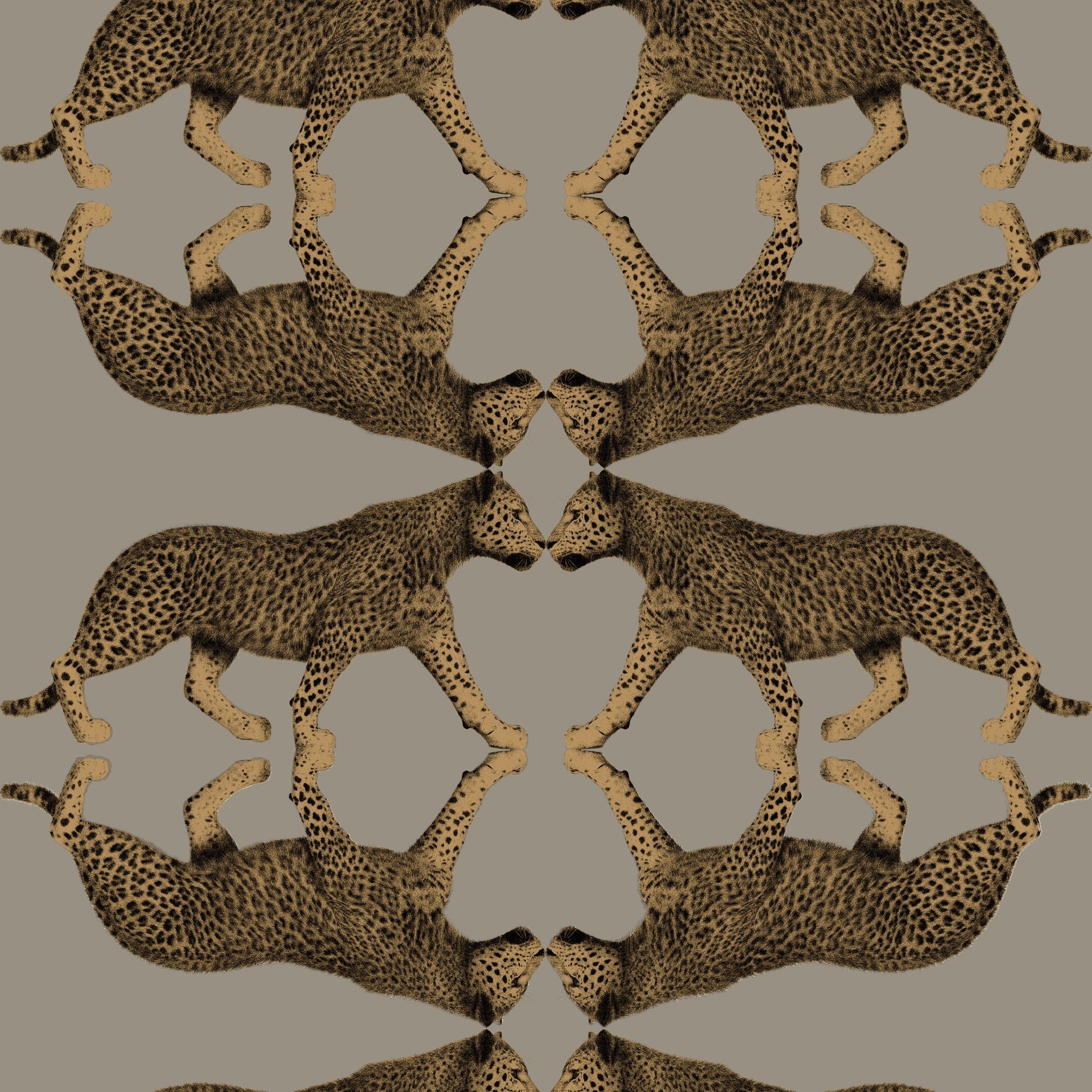 Hooked on Walls Leopard Walk Sabor 15330