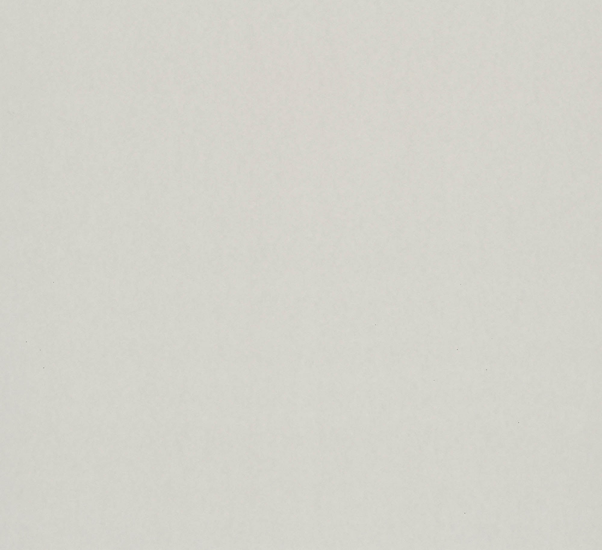 Hooked on Walls Matière Importante Niveau 24760