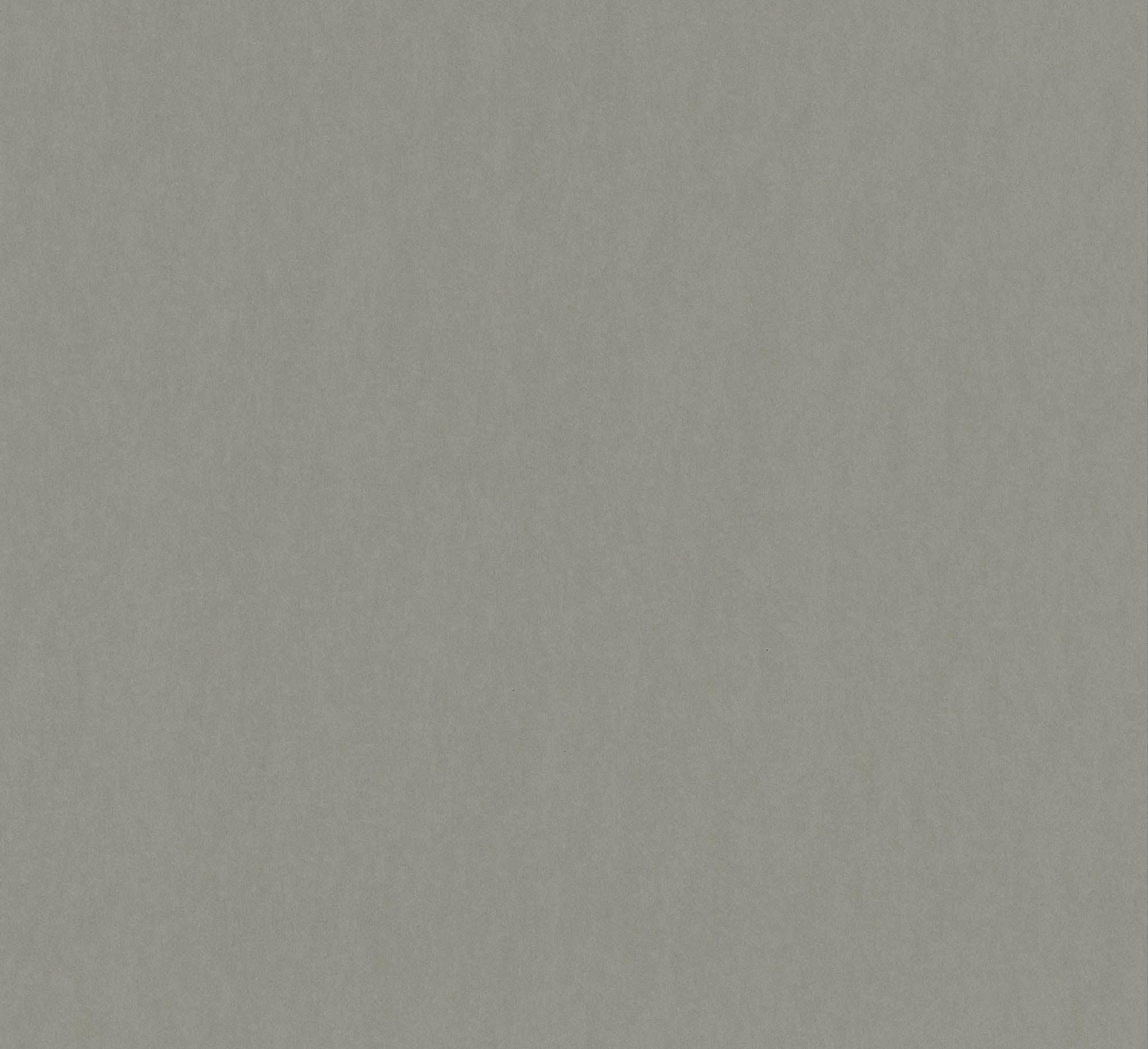 Hooked on Walls Matière Importante Niveau 24764