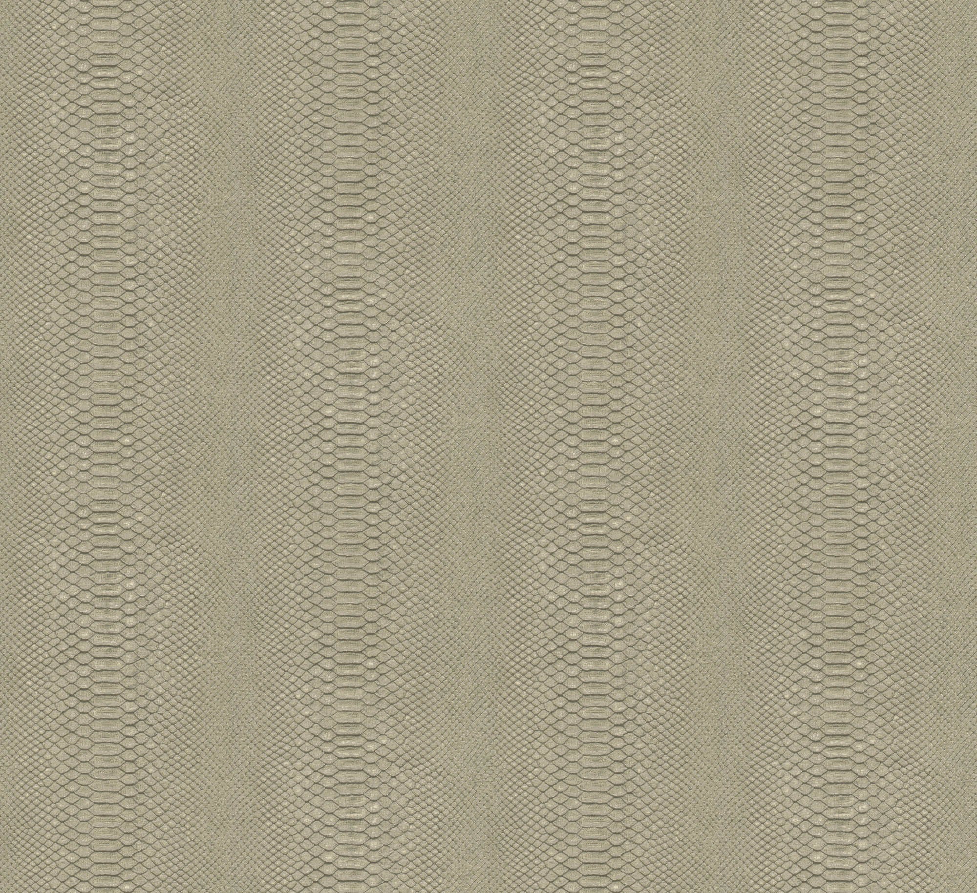 Hooked on Walls Material Matters Python 24721