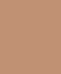 Hooked on Walls Neutralizer 01 Uni 31620