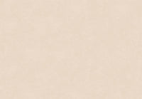 Hooked on Walls New Bali 46808