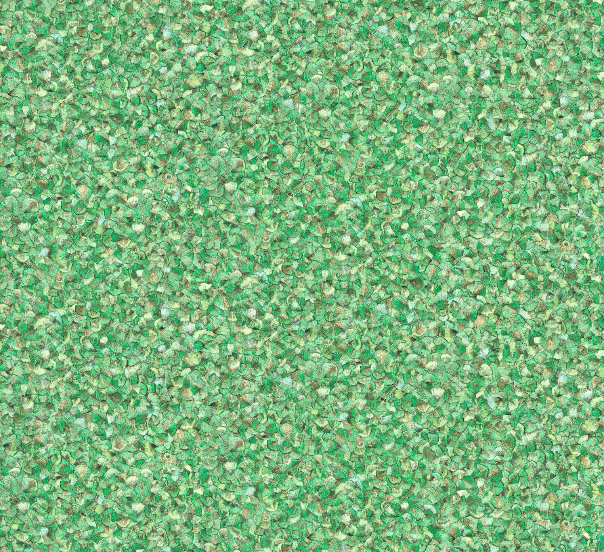 Hooked on Walls Orfeo Verismo 35292