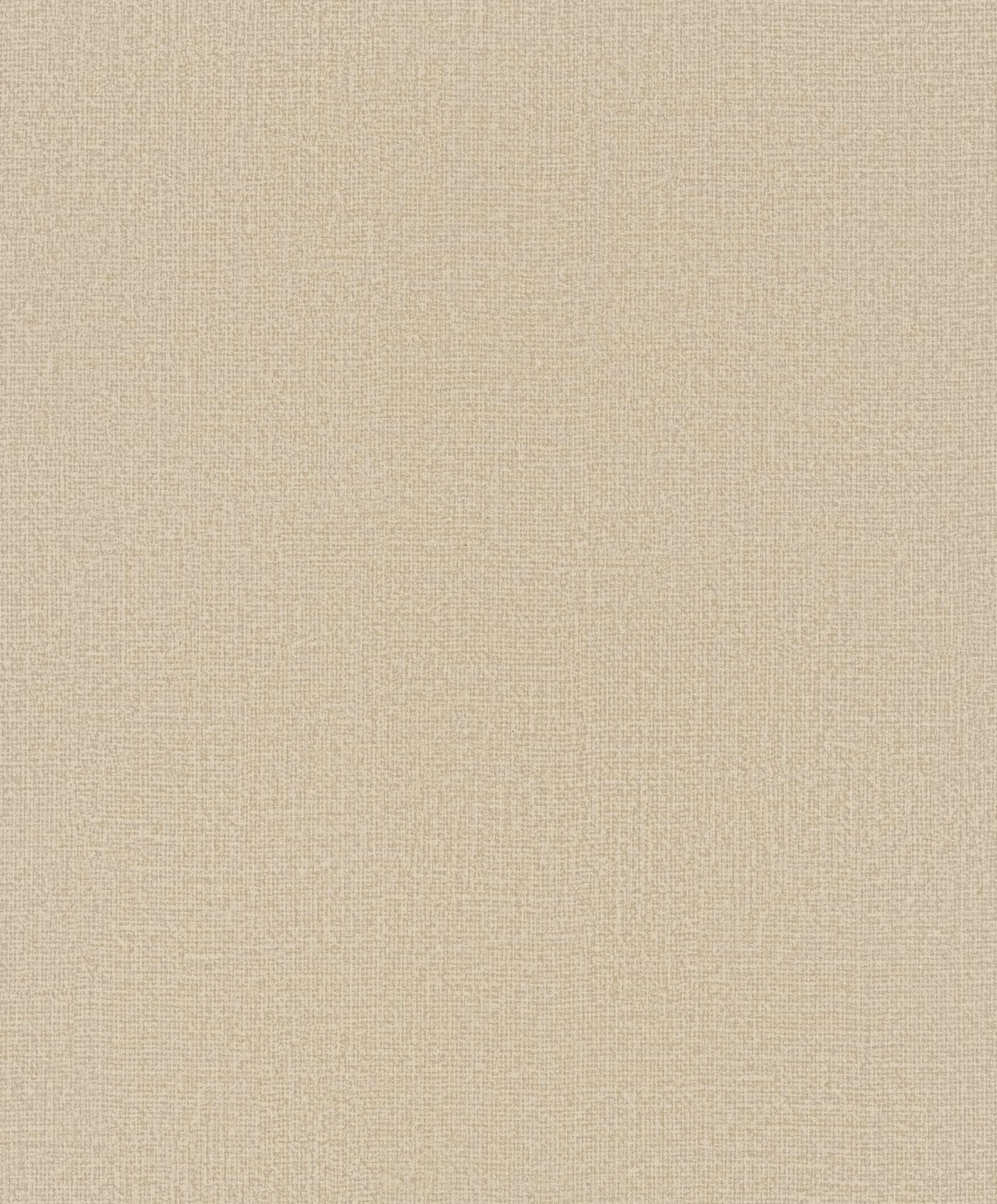 Hooked on Walls Passe Partout 2025 - 4457 Behang