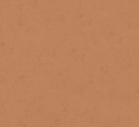 Hooked on Walls Passe Partout 2025 - 4473