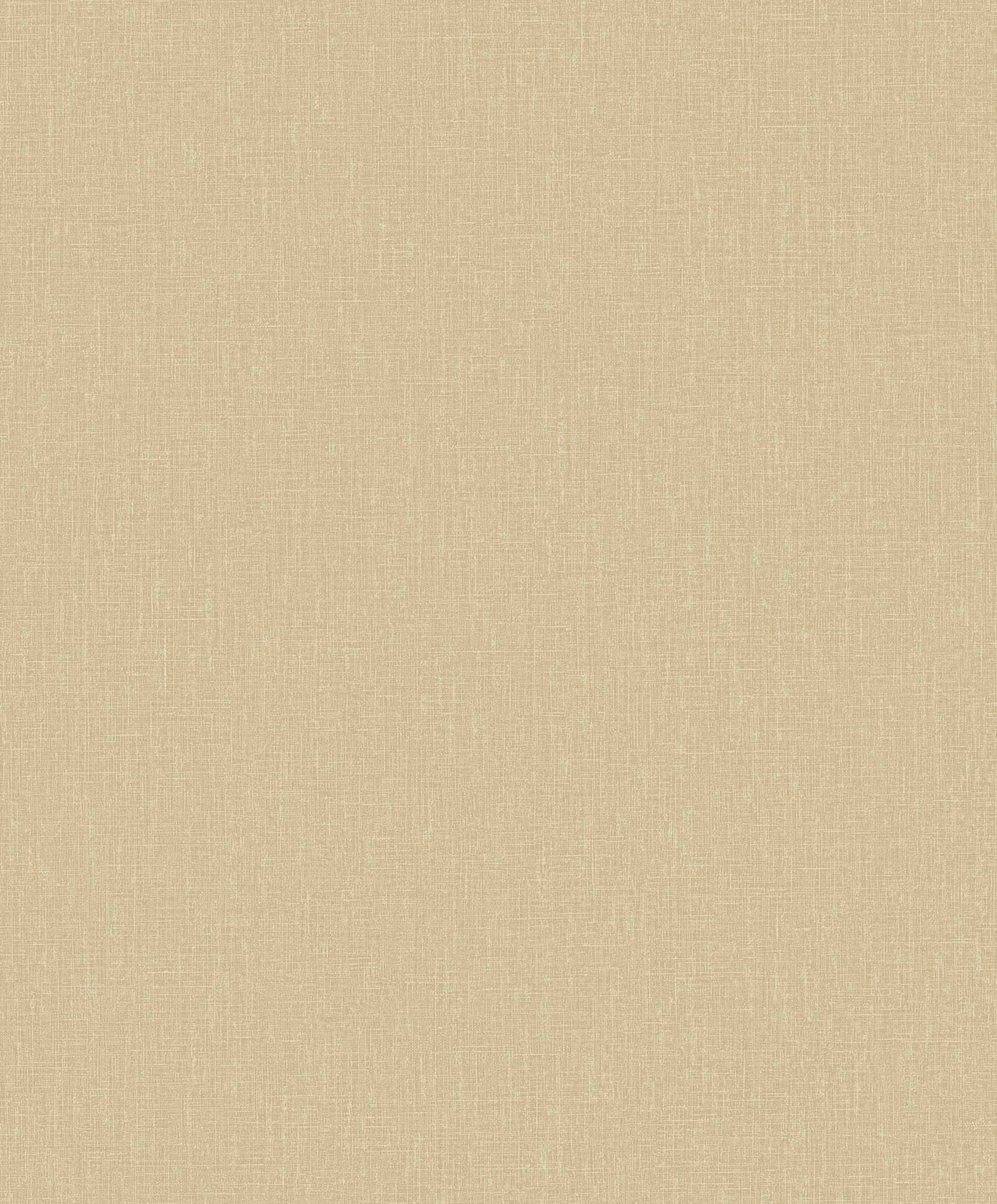 Hooked on Walls Passe Partout 2025 Plain 4492