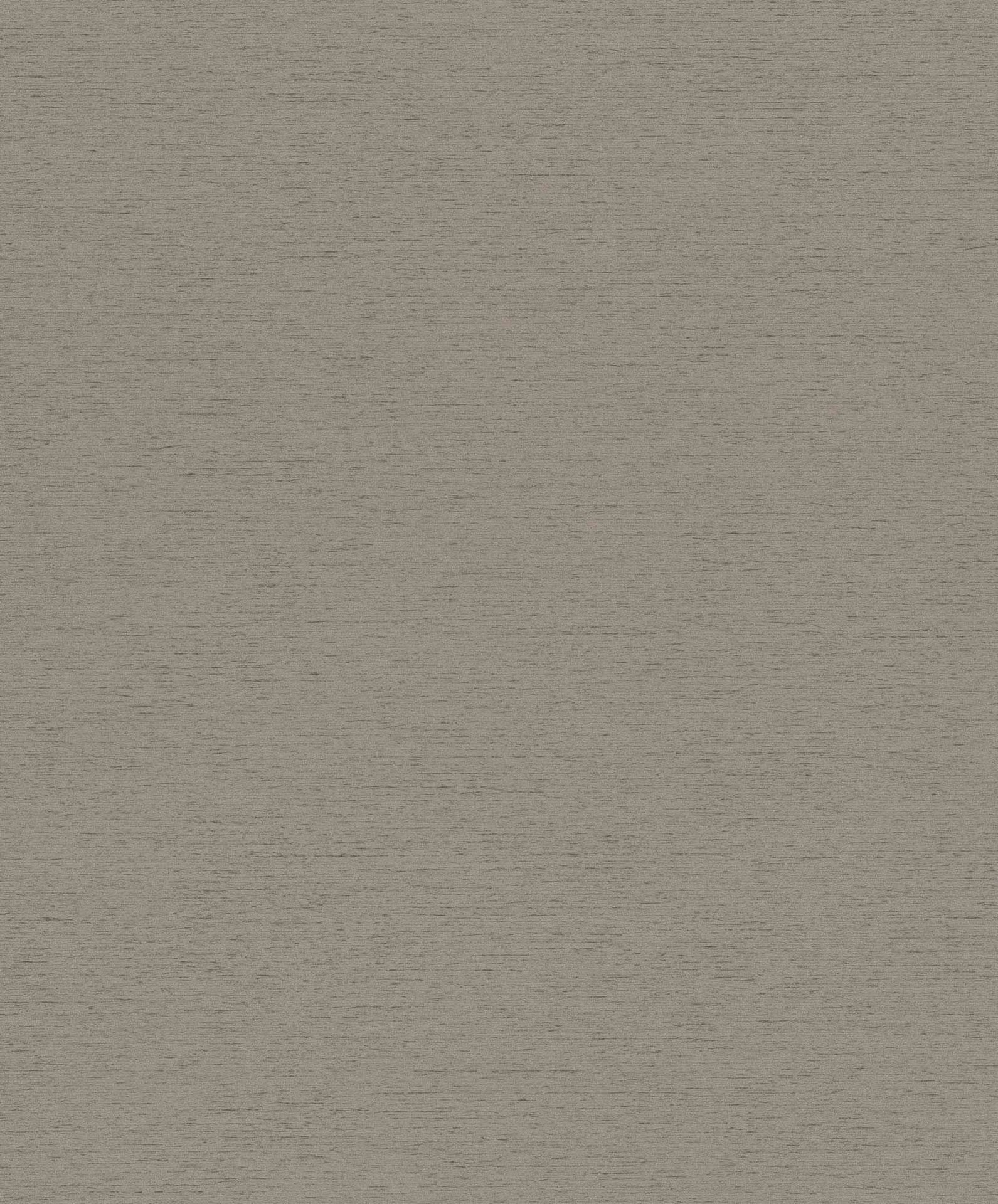 Hooked on Walls Passe Partout 2025 Travertino 4446 Behang