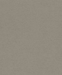 Hooked on Walls Passe Partout 2025 Travertino 4446