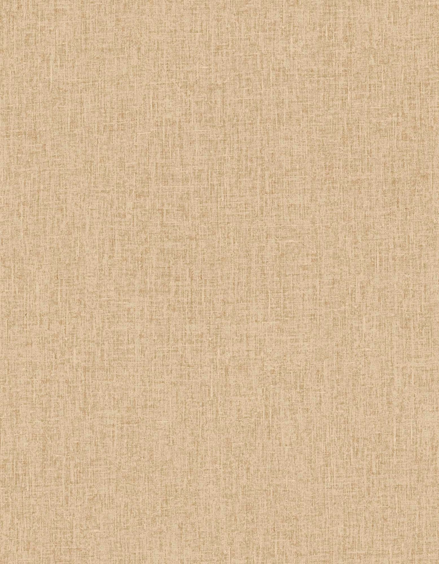 Hooked on Walls Passe Partout 2025 Unito 4494