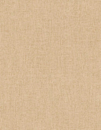 Hooked on Walls Passe Partout 2025 Unito 4494