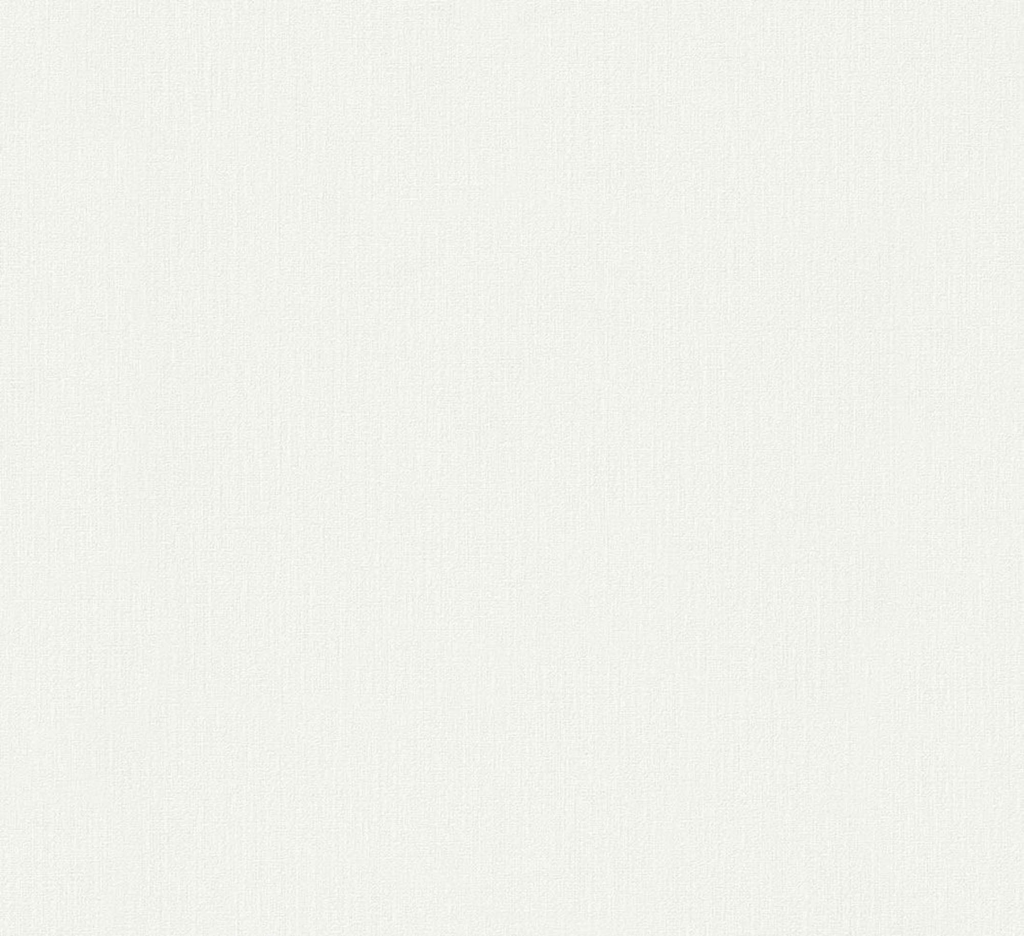 Hooked on Walls Passe Partout 2026 Casa Blanca 29607