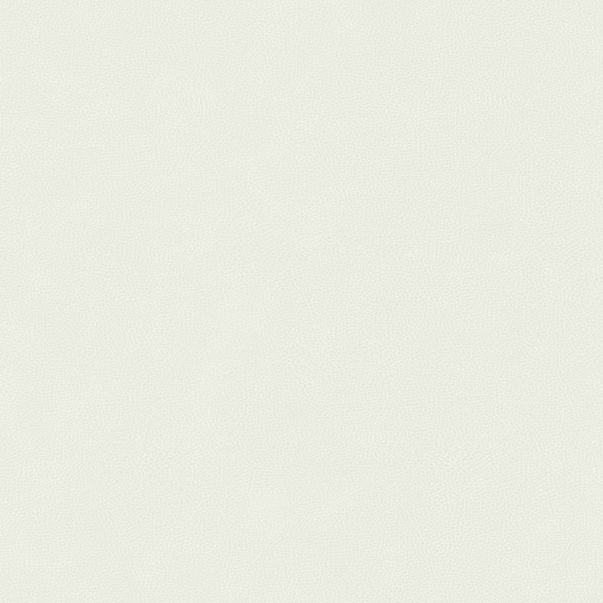 Hooked on Walls Passe Partout 2026 Casa Blanca Pelle 29636