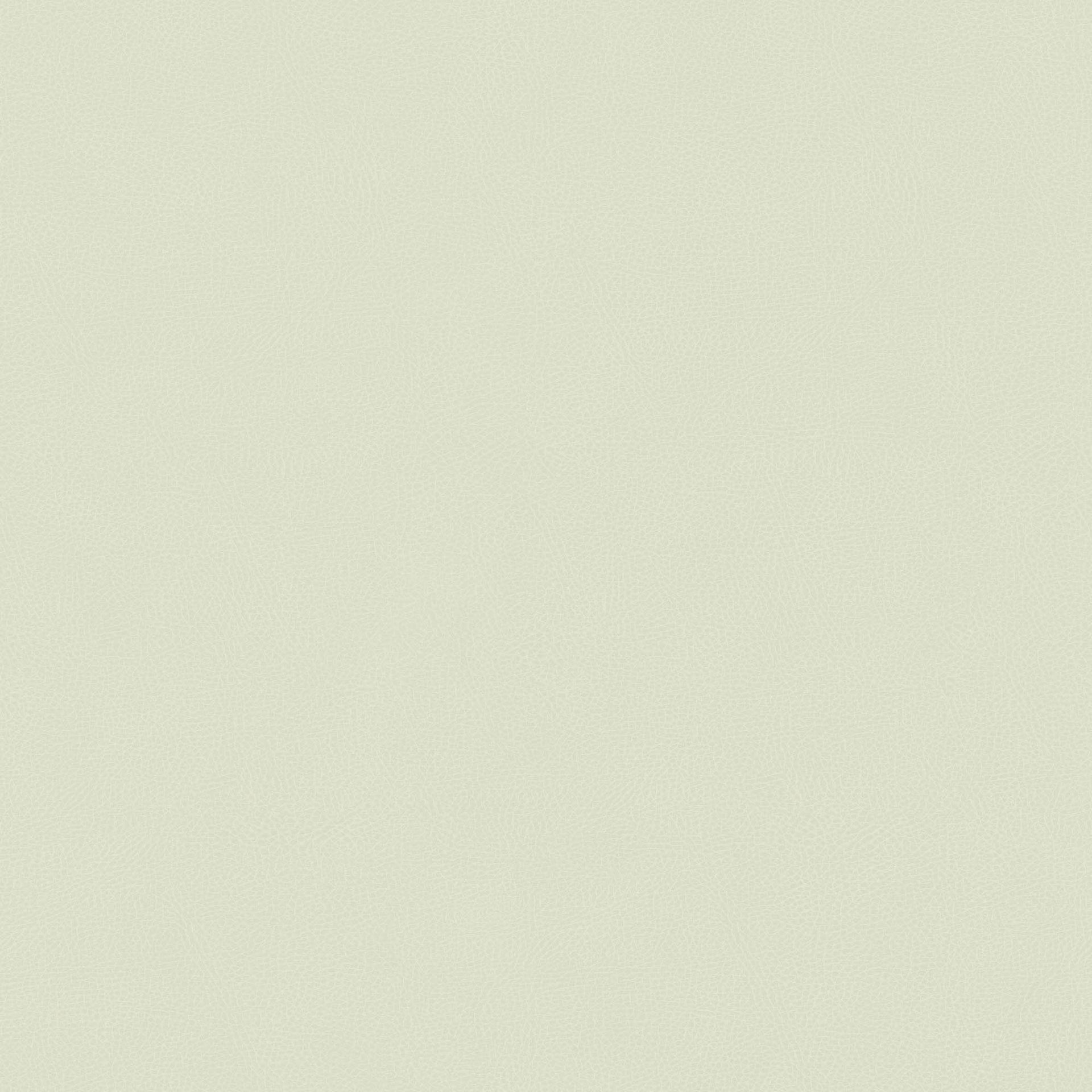 Hooked on Walls Passe Partout 2026 Casa Blanca Pelle 29719