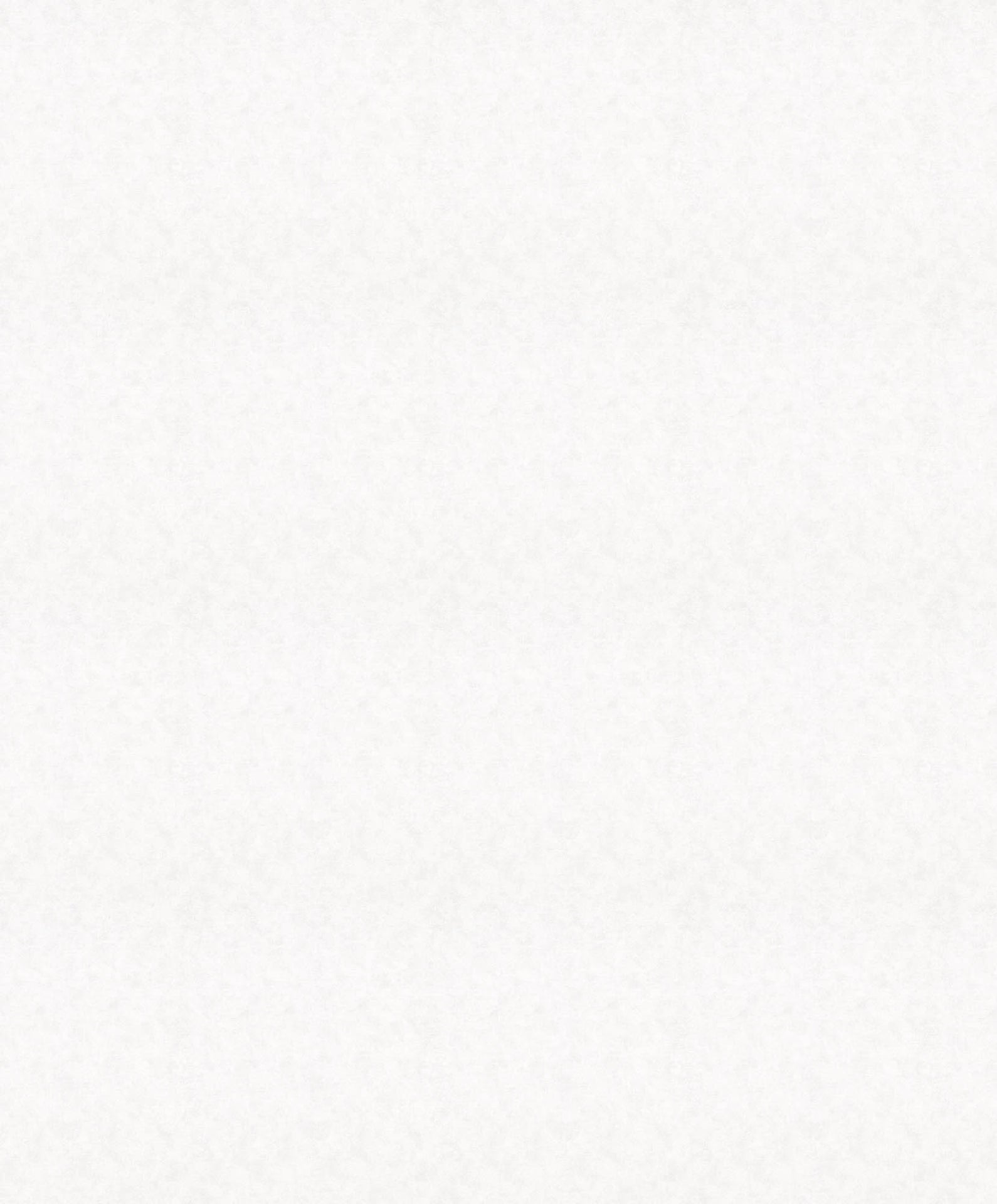 Hooked on Walls Passe Partout 2026 Casa Blanca Shades 29604