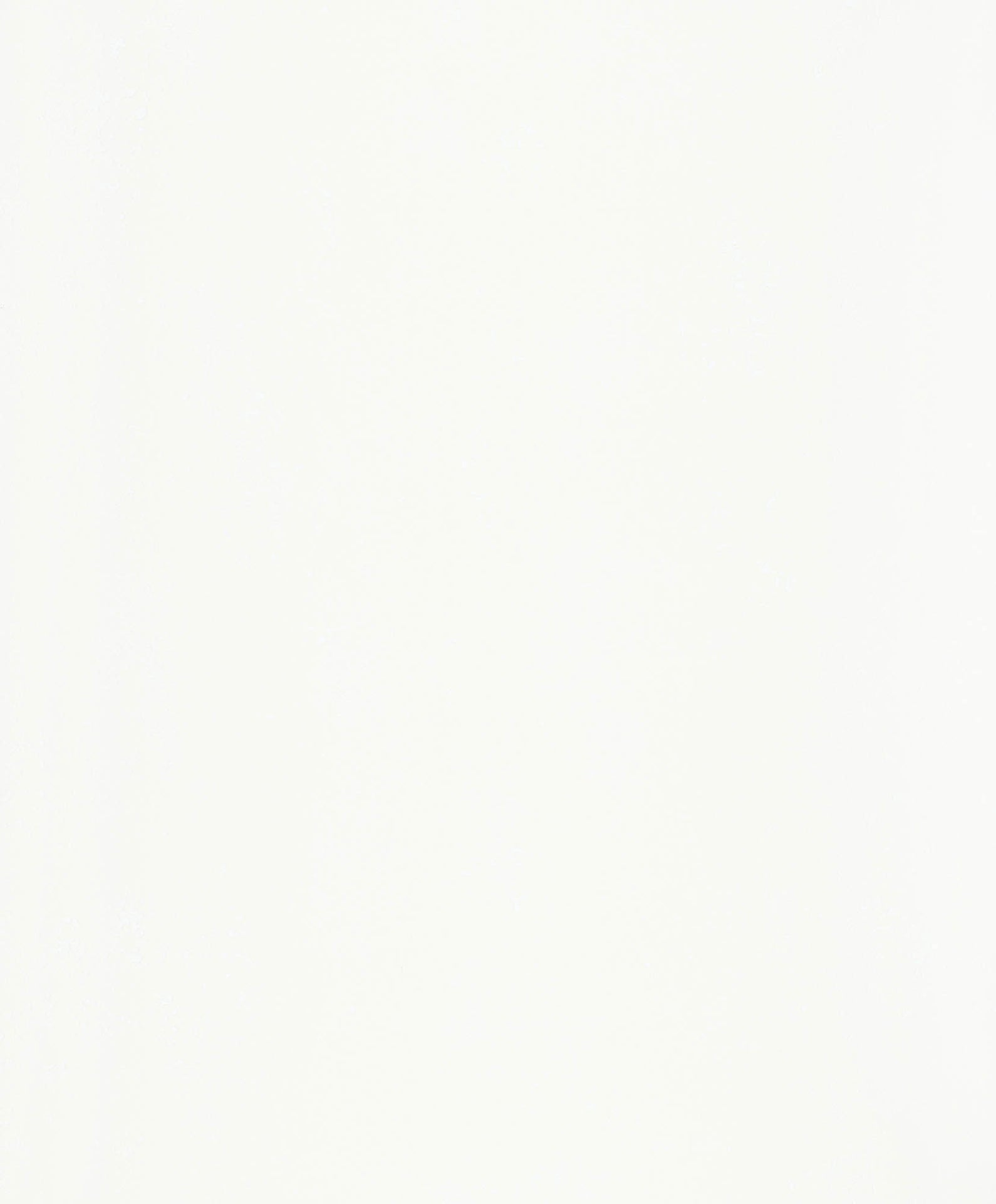 Hooked on Walls Passe Partout 2026 Casa Blanca Struktur 29617