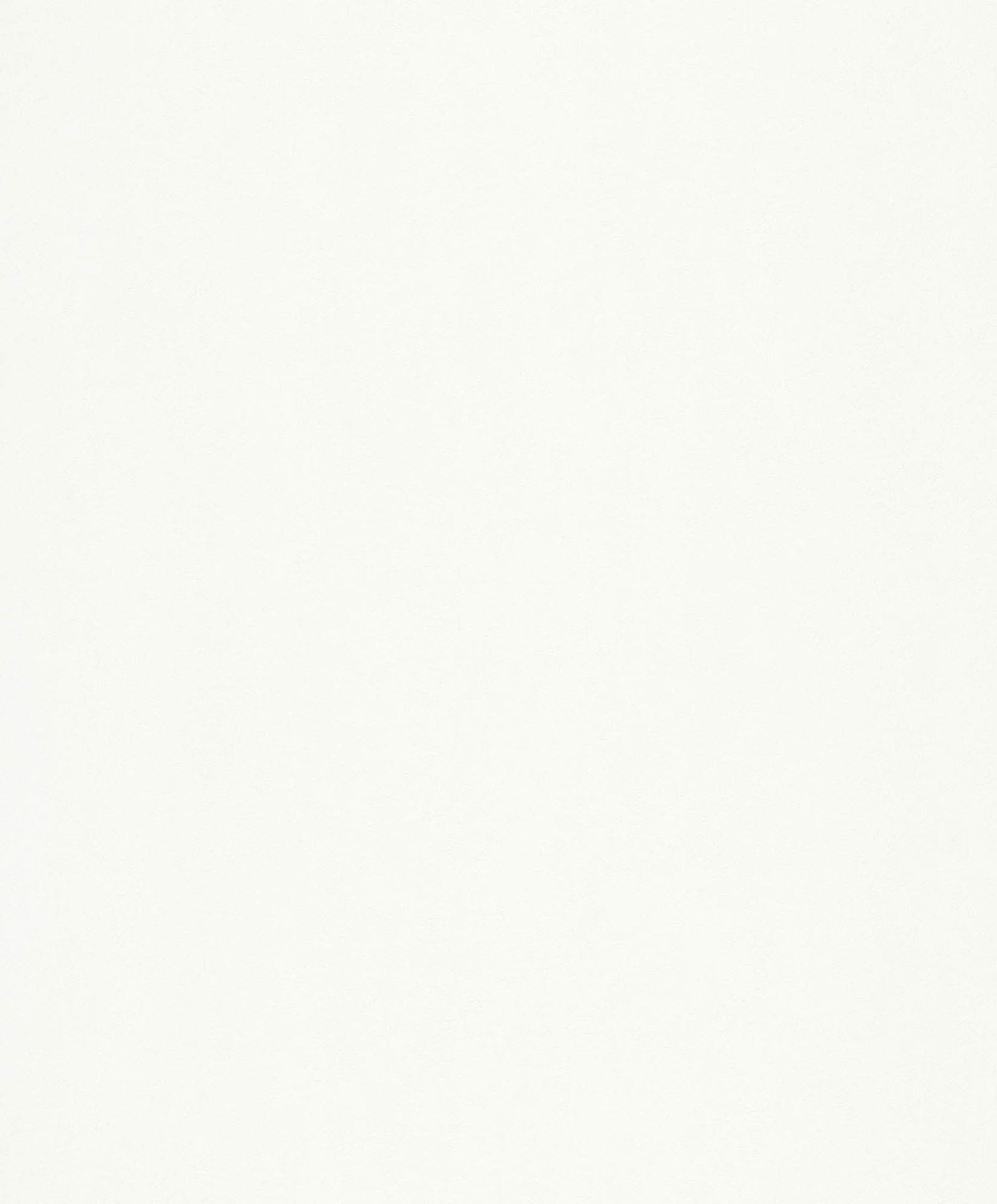 Hooked on Walls Passe Partout 2026 Casa Blanca Struktur 29620 Behang