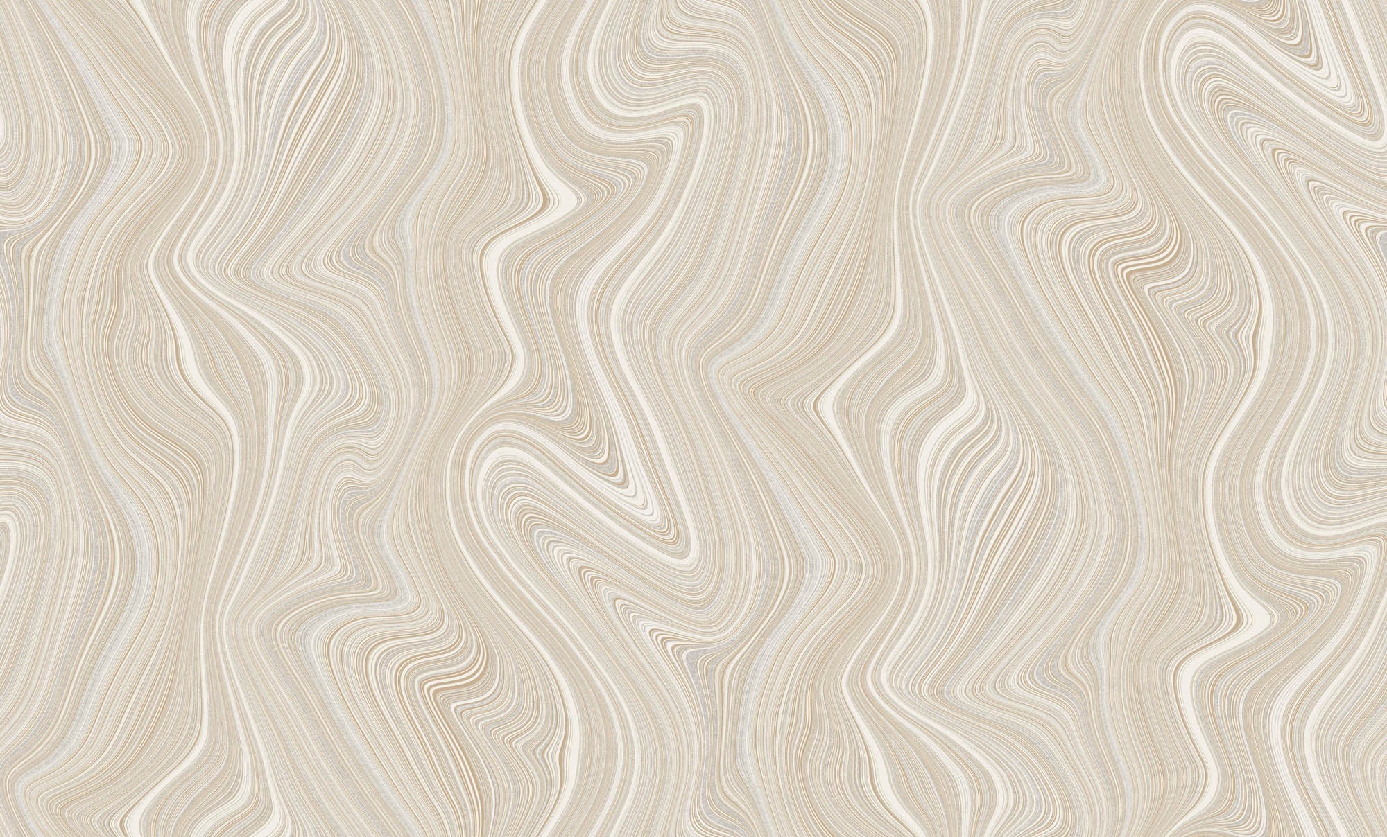 Hooked on Walls Passe Partout 2026 Casa Blanca Tadelakt Plain 29600