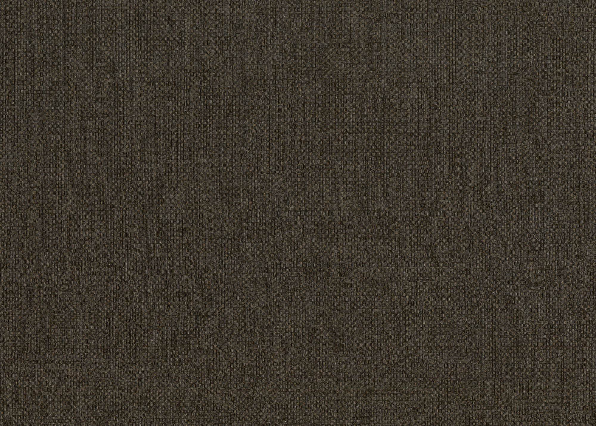 Hooked on Walls Passe Partout 2026 Colour Vibes Baobab 29849 Behang