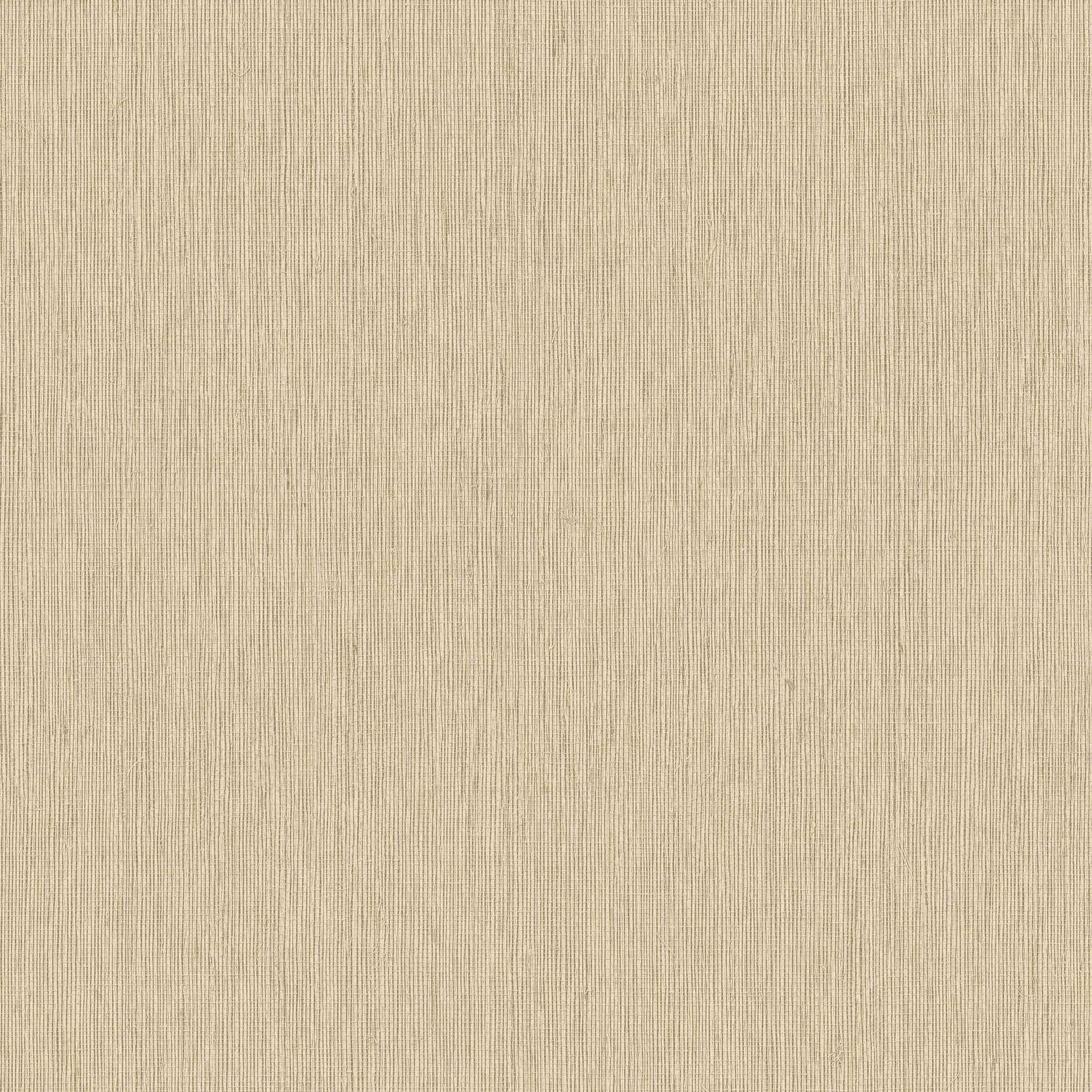 Hooked on Walls Passe Partout 2026 Colour Vibes Filo 29869