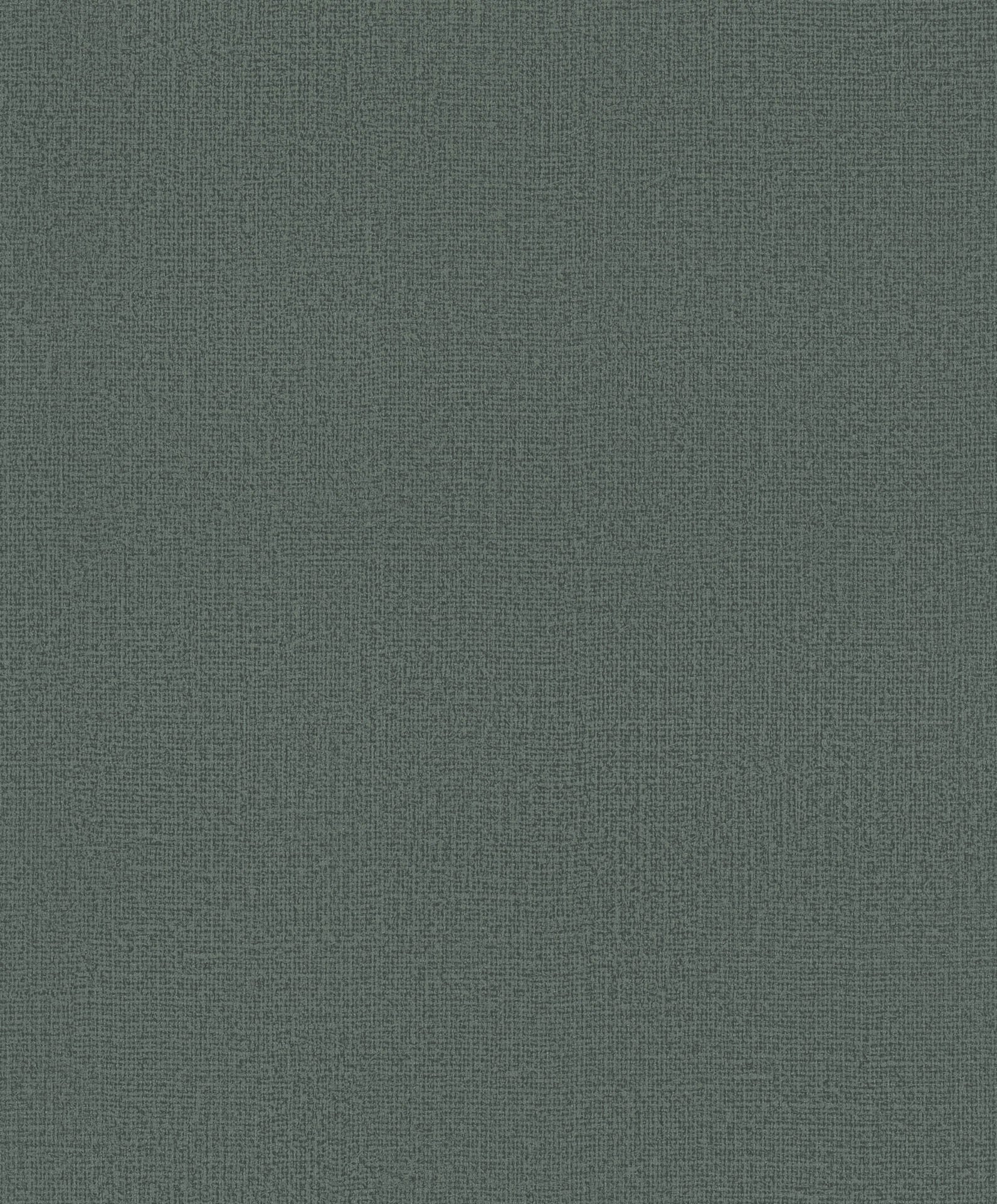 Hooked on Walls Passe Partout 2026 Colour Vibes Loft Sup 29944