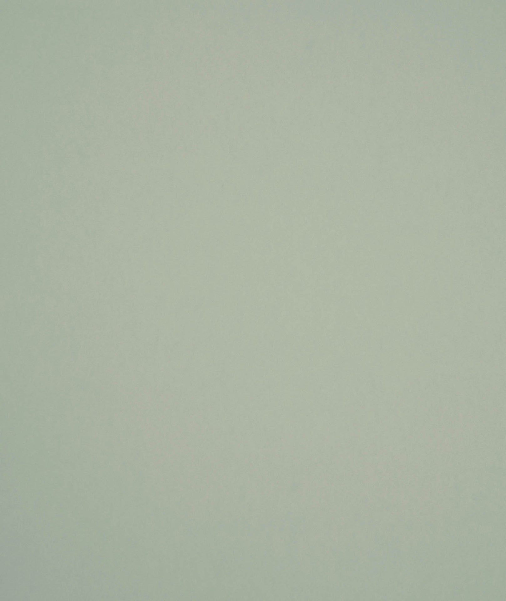 Hooked on Walls Passe Partout 2026 Colour Vibes Muro 29951