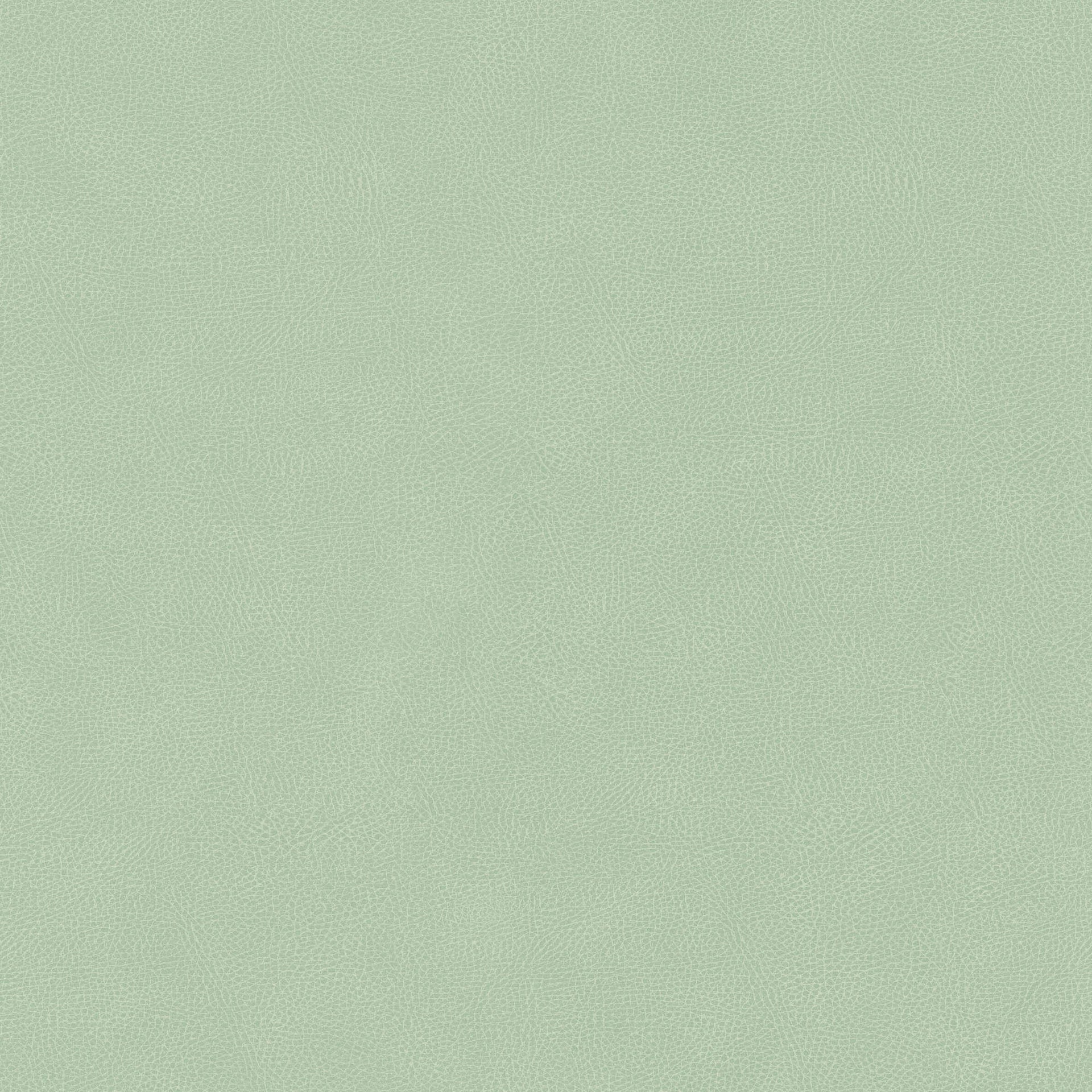 Hooked on Walls Passe Partout 2026 Colour Vibes Pelle 29805