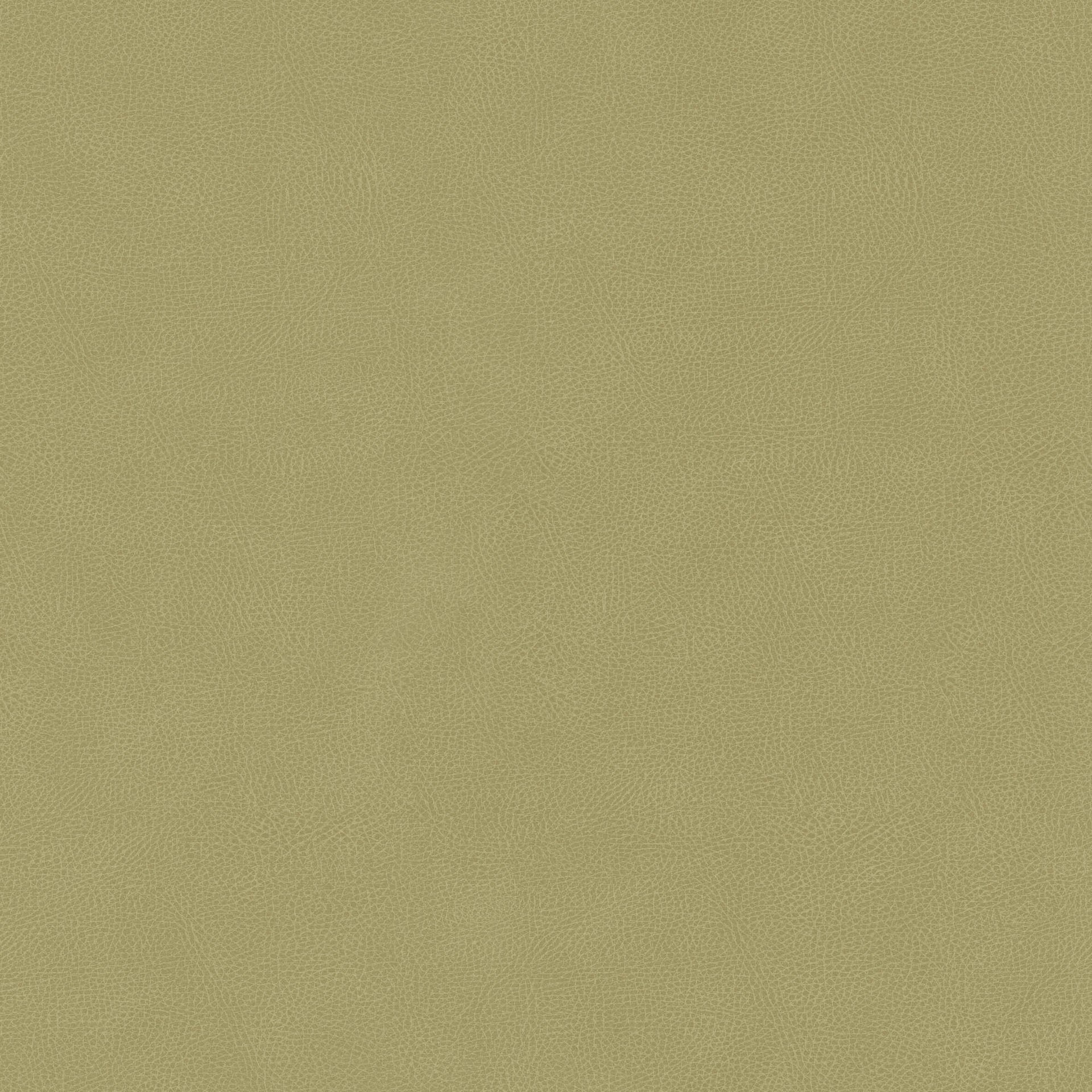 Hooked on Walls Passe Partout 2026 Colour Vibes Pelle 29898